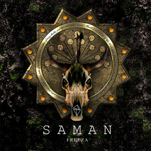 在线观看视频无码
