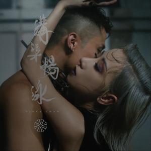 在线观看视频无码
