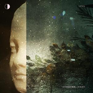 在线观看视频无码
